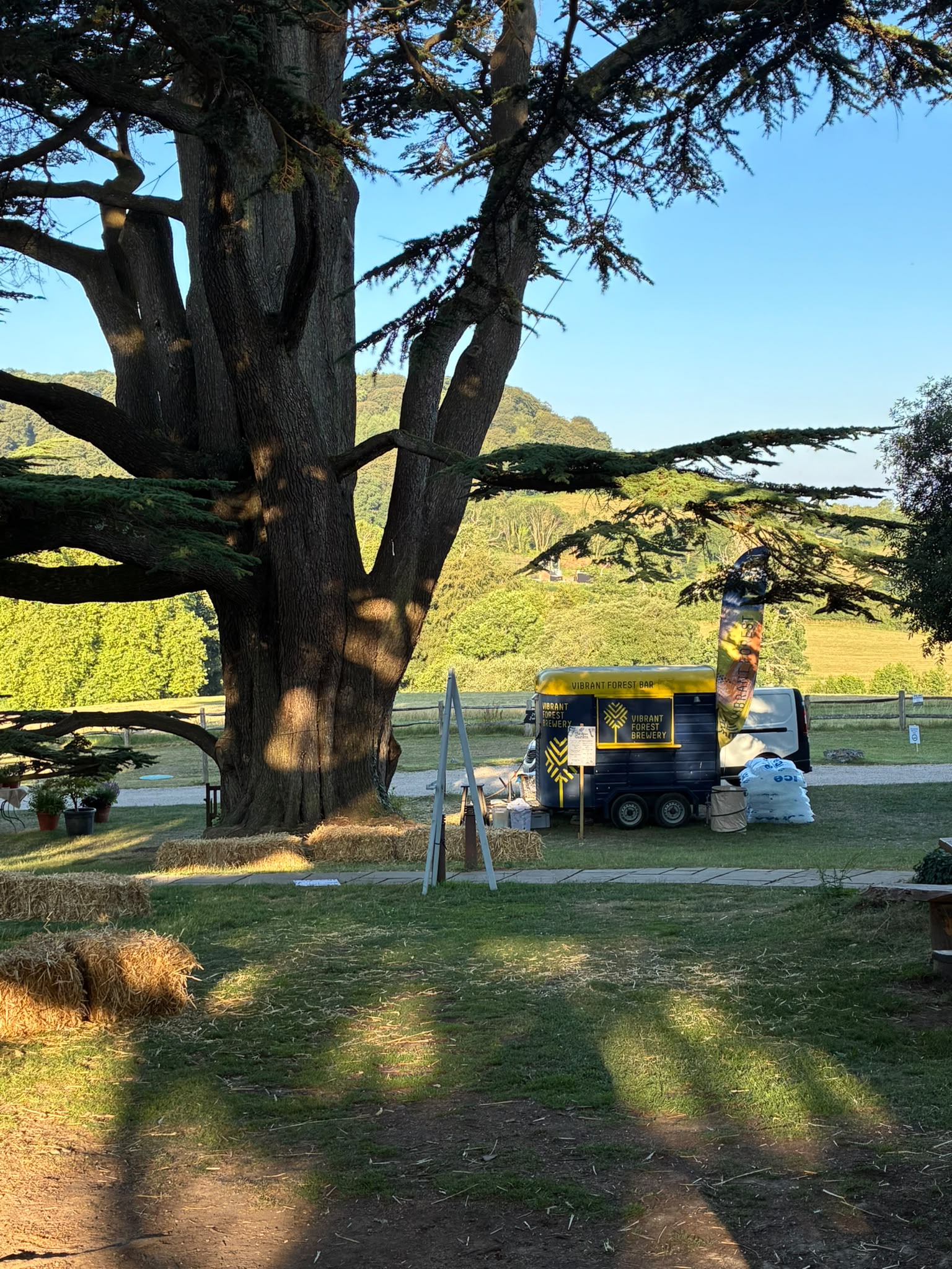 The Pig at Combe house party grounds
